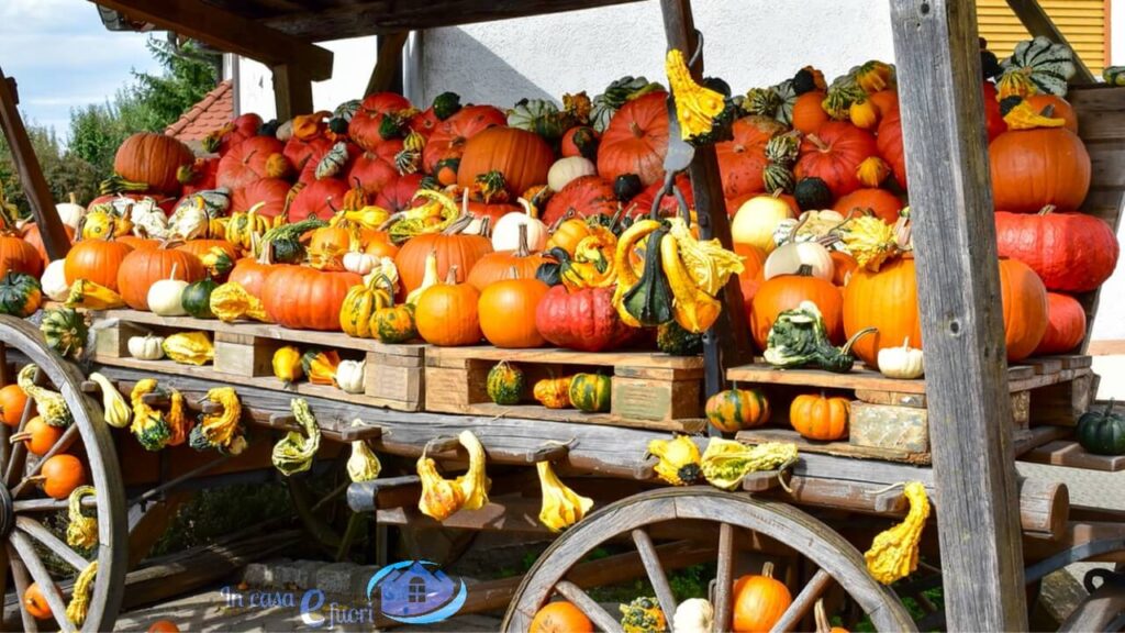 Il vero benessere a tavola passa per un'alimentazione sana e genuina: mangiare frutta e verdura è fondamentale per una salute di ferro