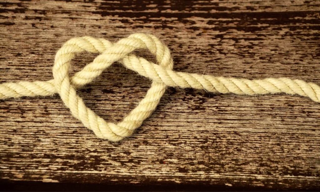 segni più fedeli in amore