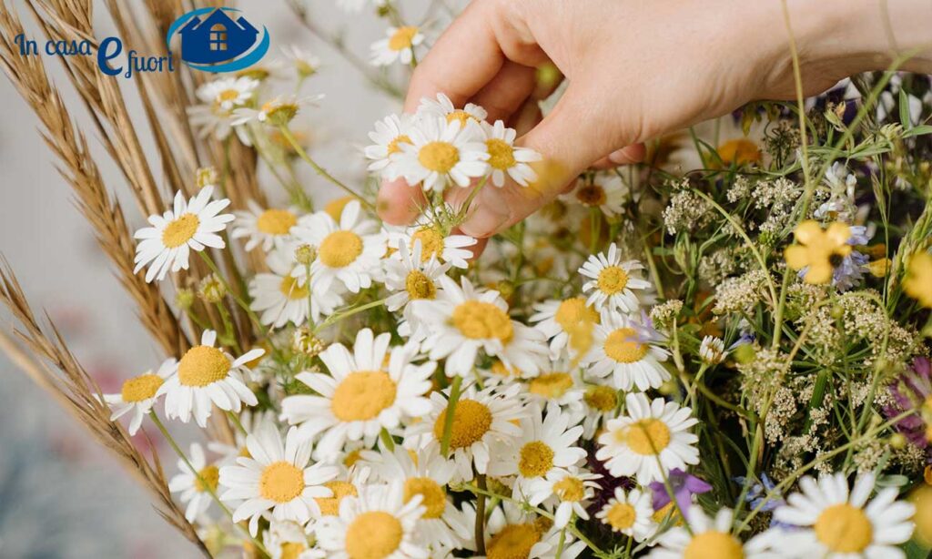 La camomilla è molto efficace contro la gastrite