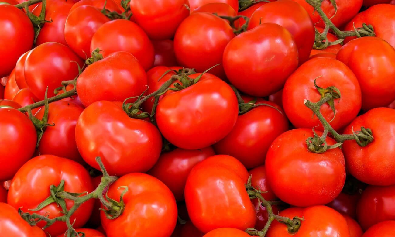 Pomodori