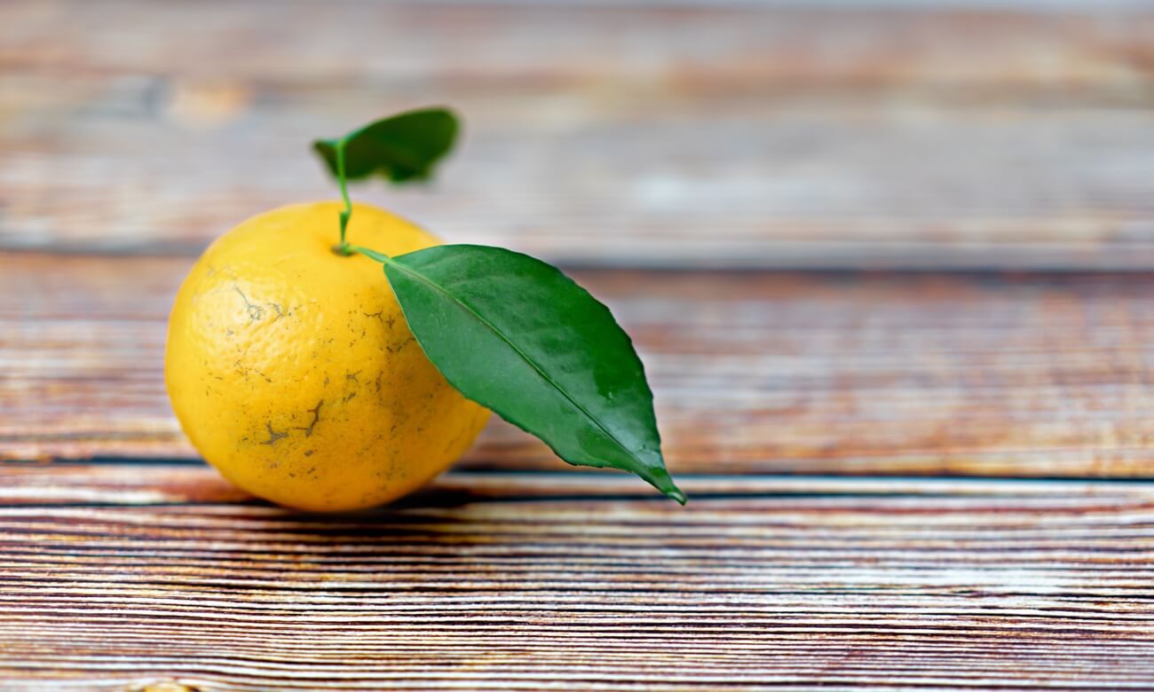 Yuzu