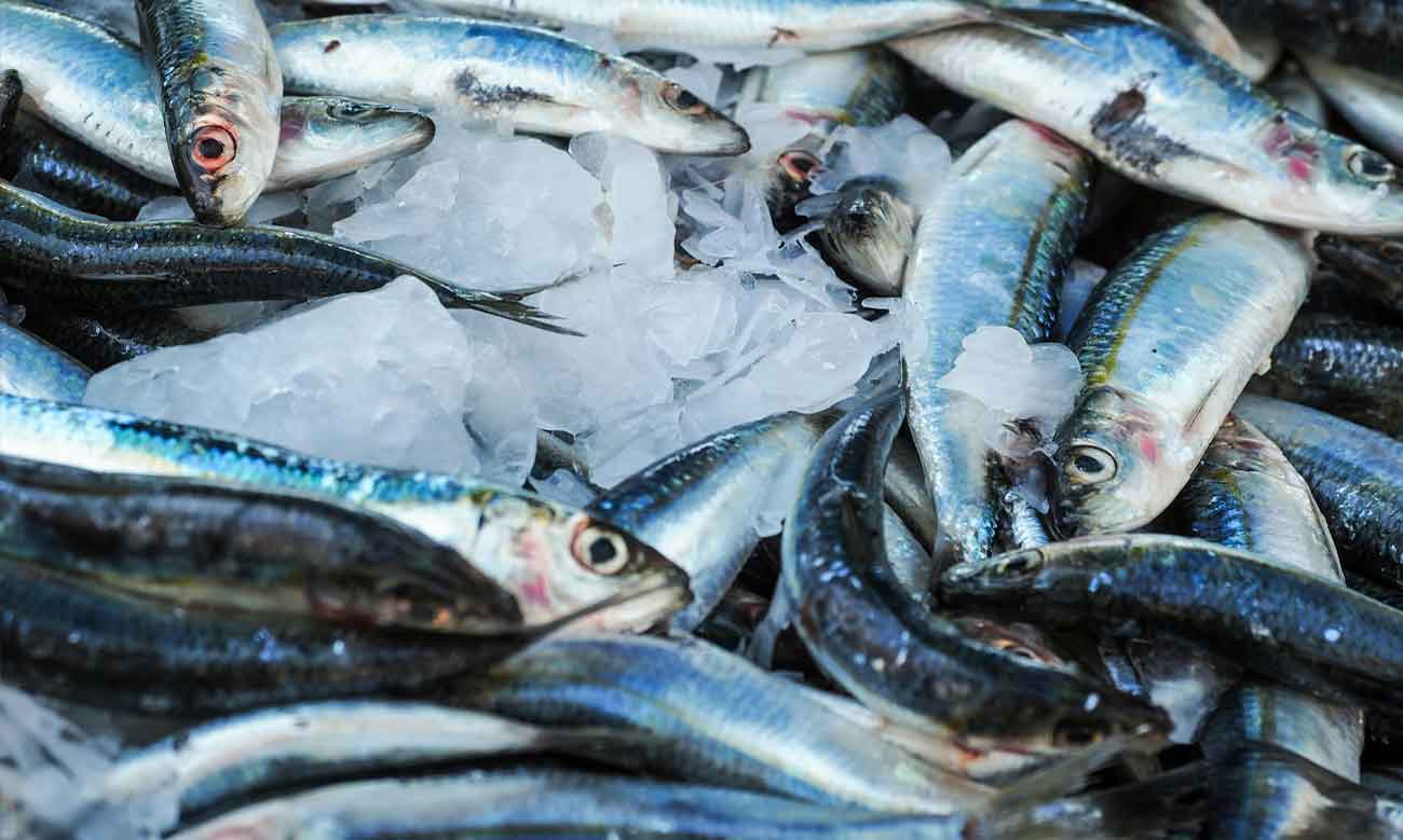 longevità dei giapponesi