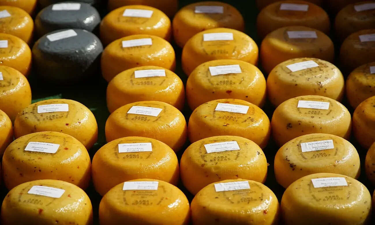 Formaggio più antico del mondo