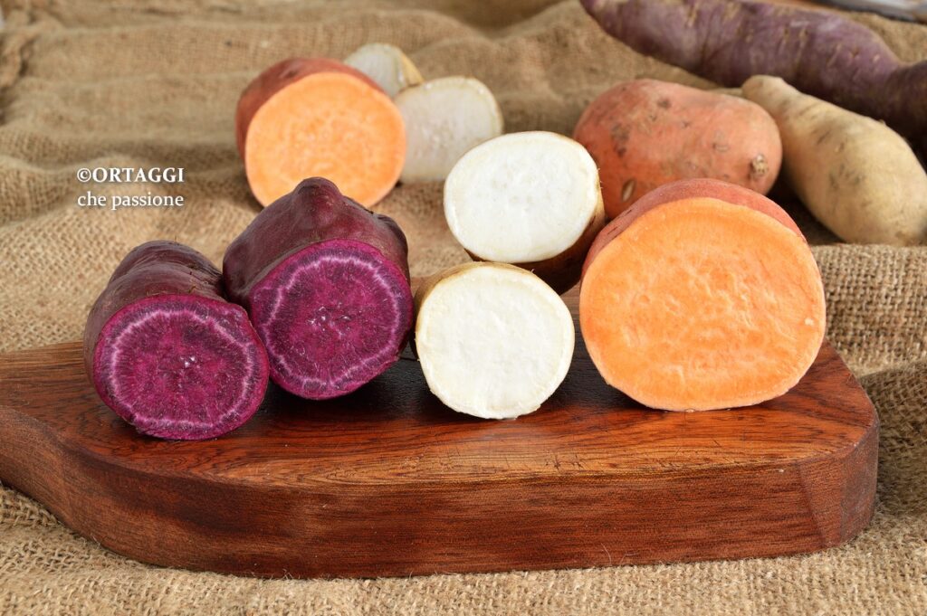 La patata dolce è un tubero ancora sconosciuto a molti