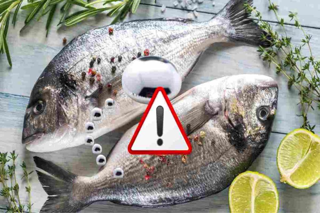 Alcuni pesci contengono più mercurio degli altri