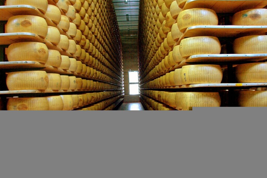 Alcuni stabilimenti di parmigiano reggiano posso prestare garanzie con le loro forme