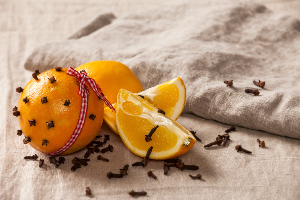 buccia_di_arancia_chiodi_di_garofano_copertina