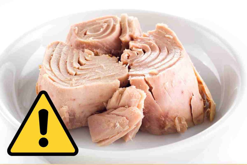 Il tonno può contenere maggiori quantità di mercurio 