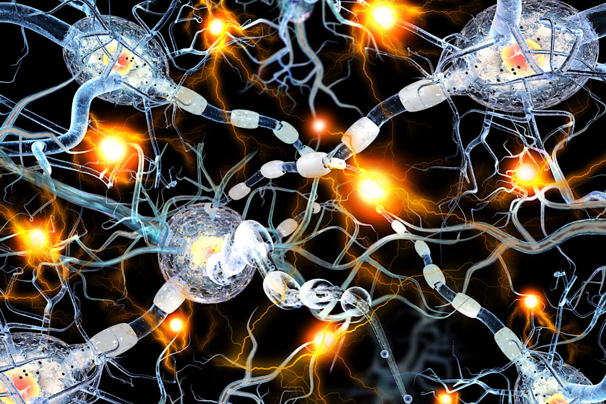 ormoni e neurotrasmettitori