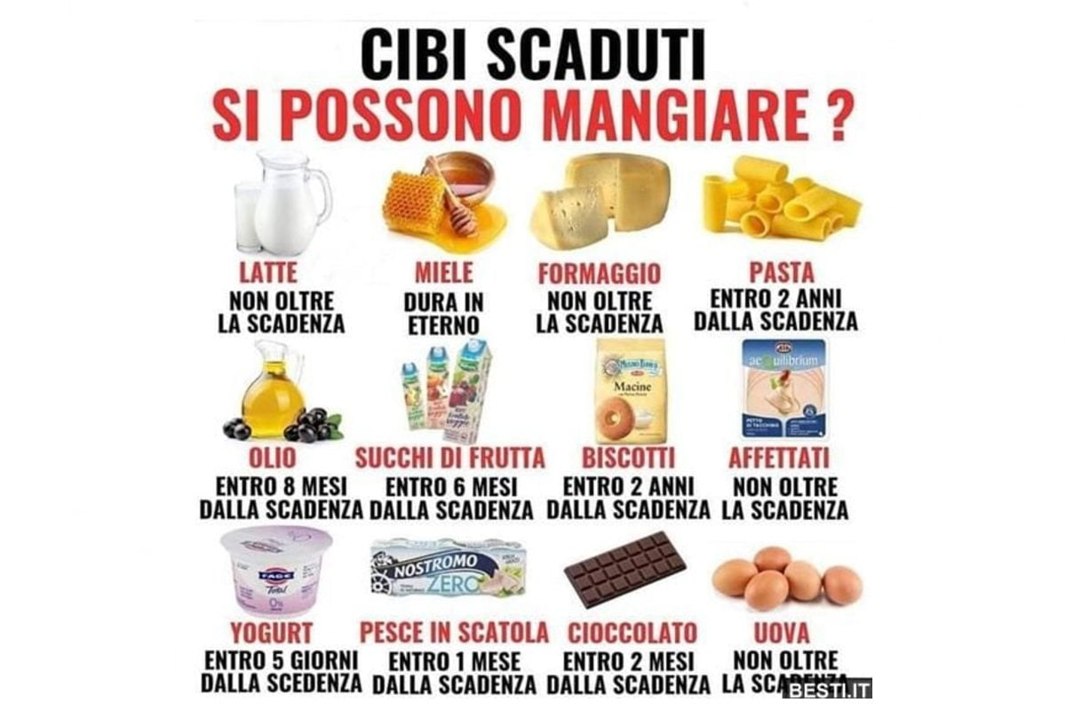 cibo scaduto cover