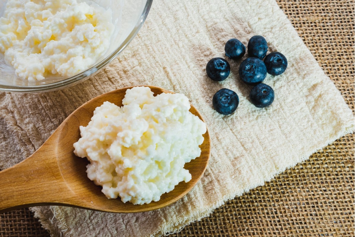 kefir cover
