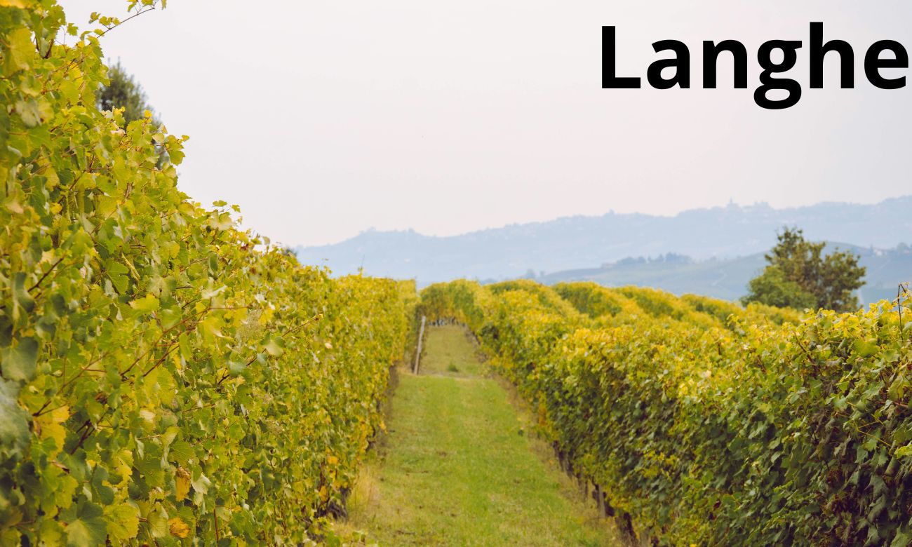 Langhe