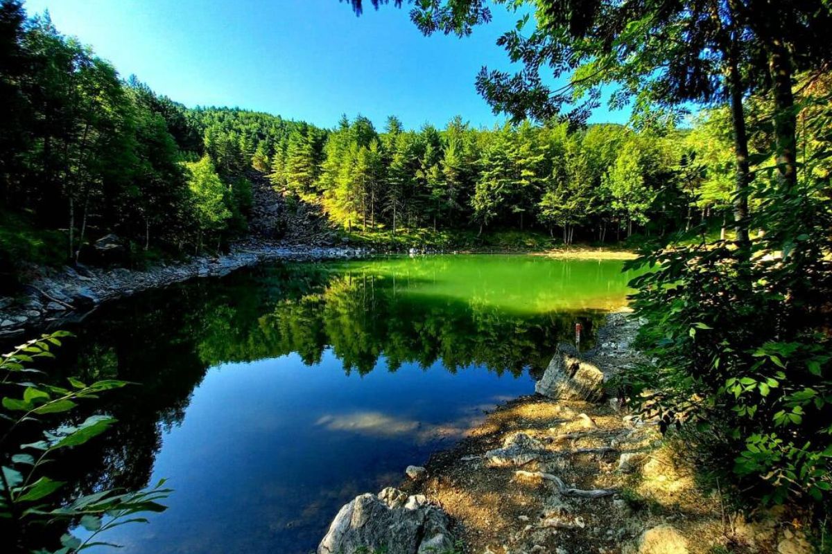 Lago alpino verde e scuro circondato da una fitta foresta e riflessi sull'acqua.