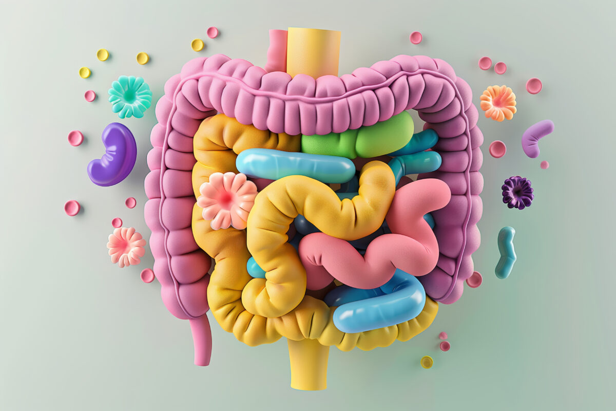 cibi contro l'intestino