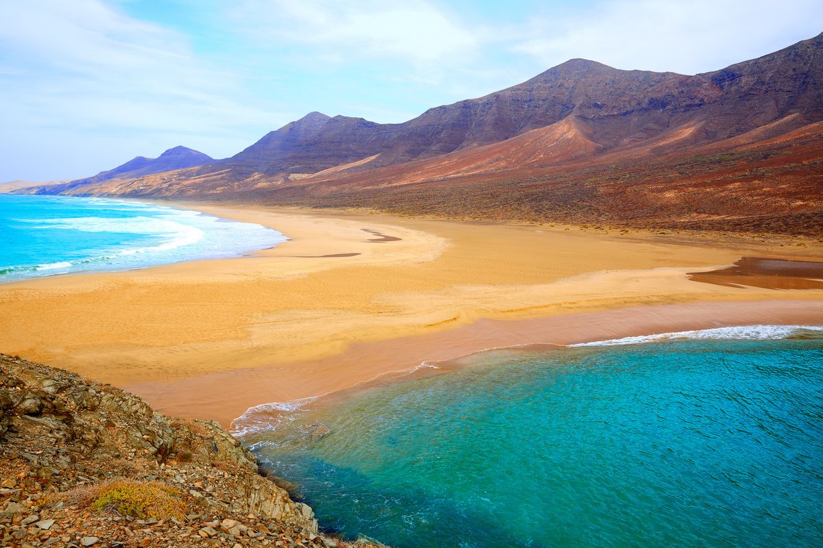 fuerteventura cover