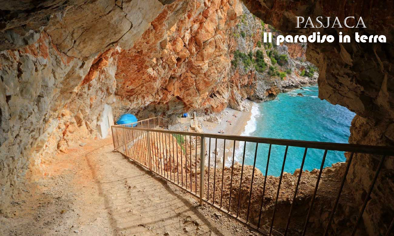 pasjaca