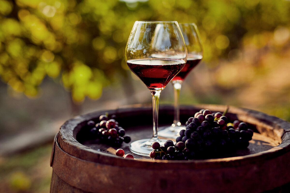 vino e cantine