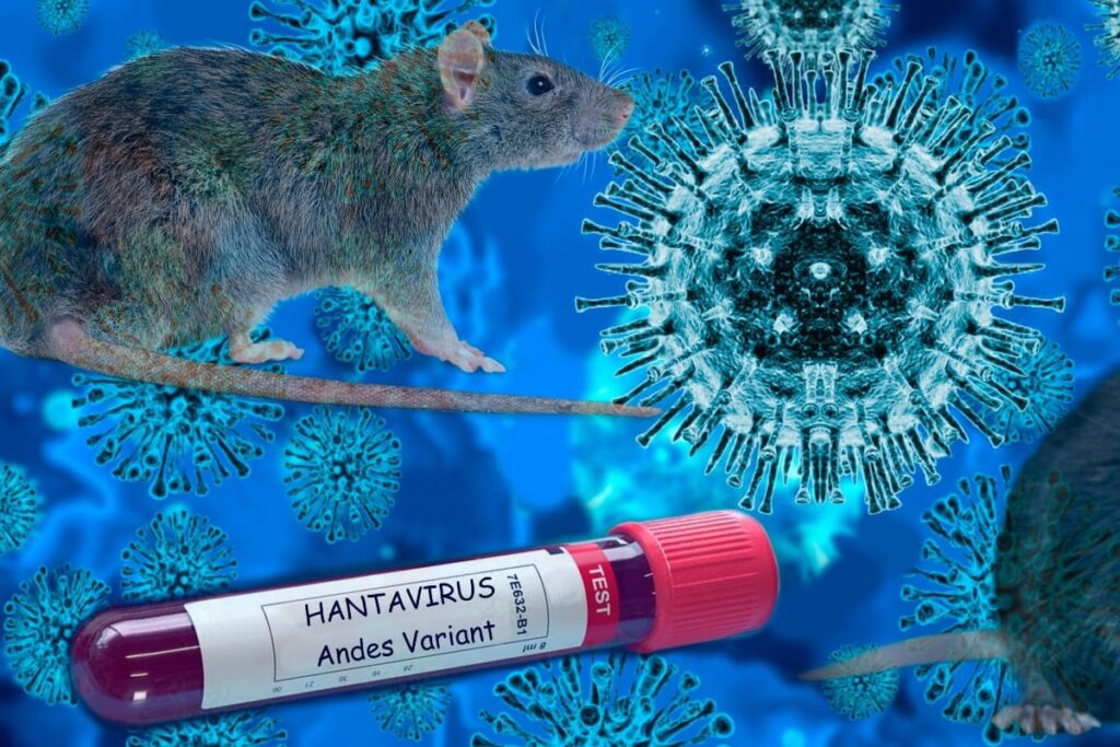 andes-virus-hantavirus_cover