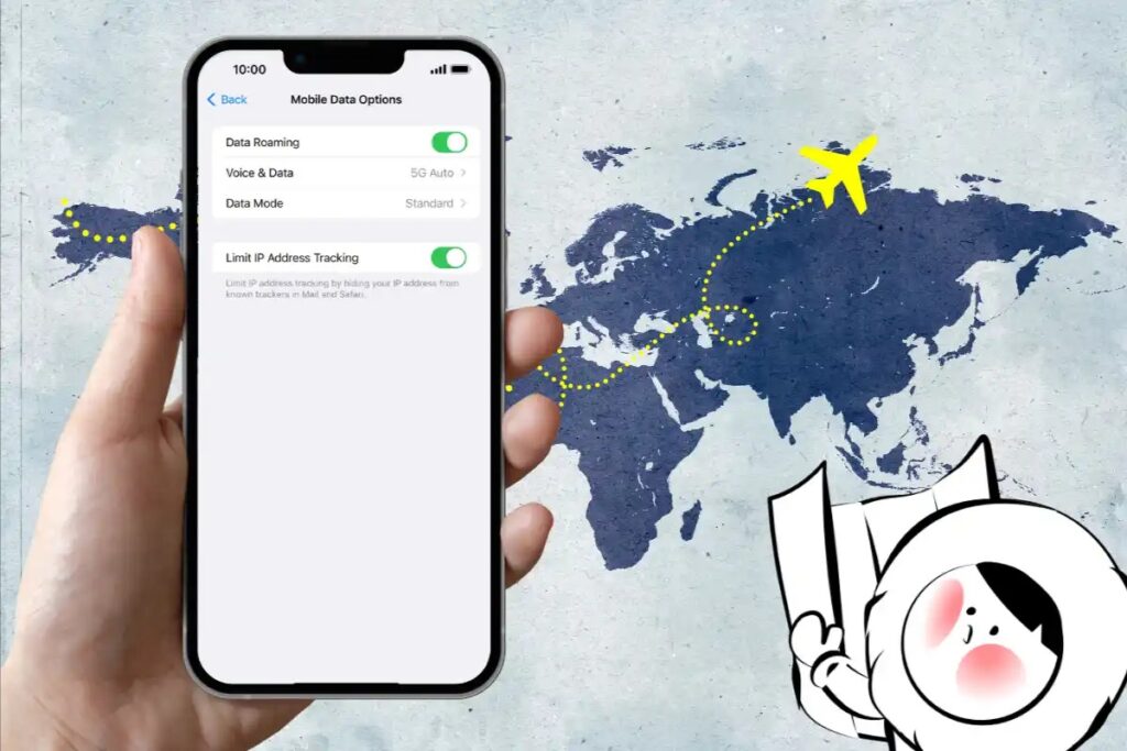 roaming cover